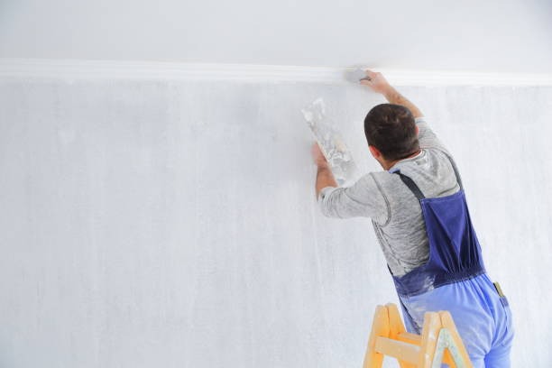 Clearwater FL Best House Painter