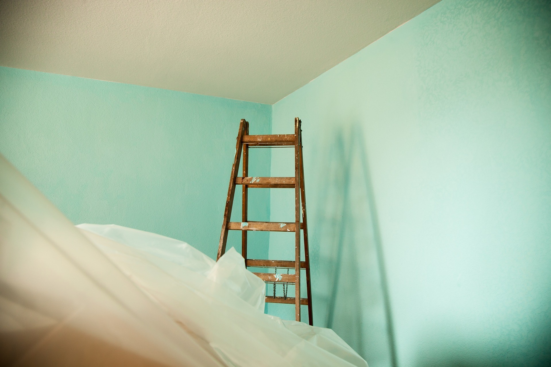 Clearwater FL Expert house painter price