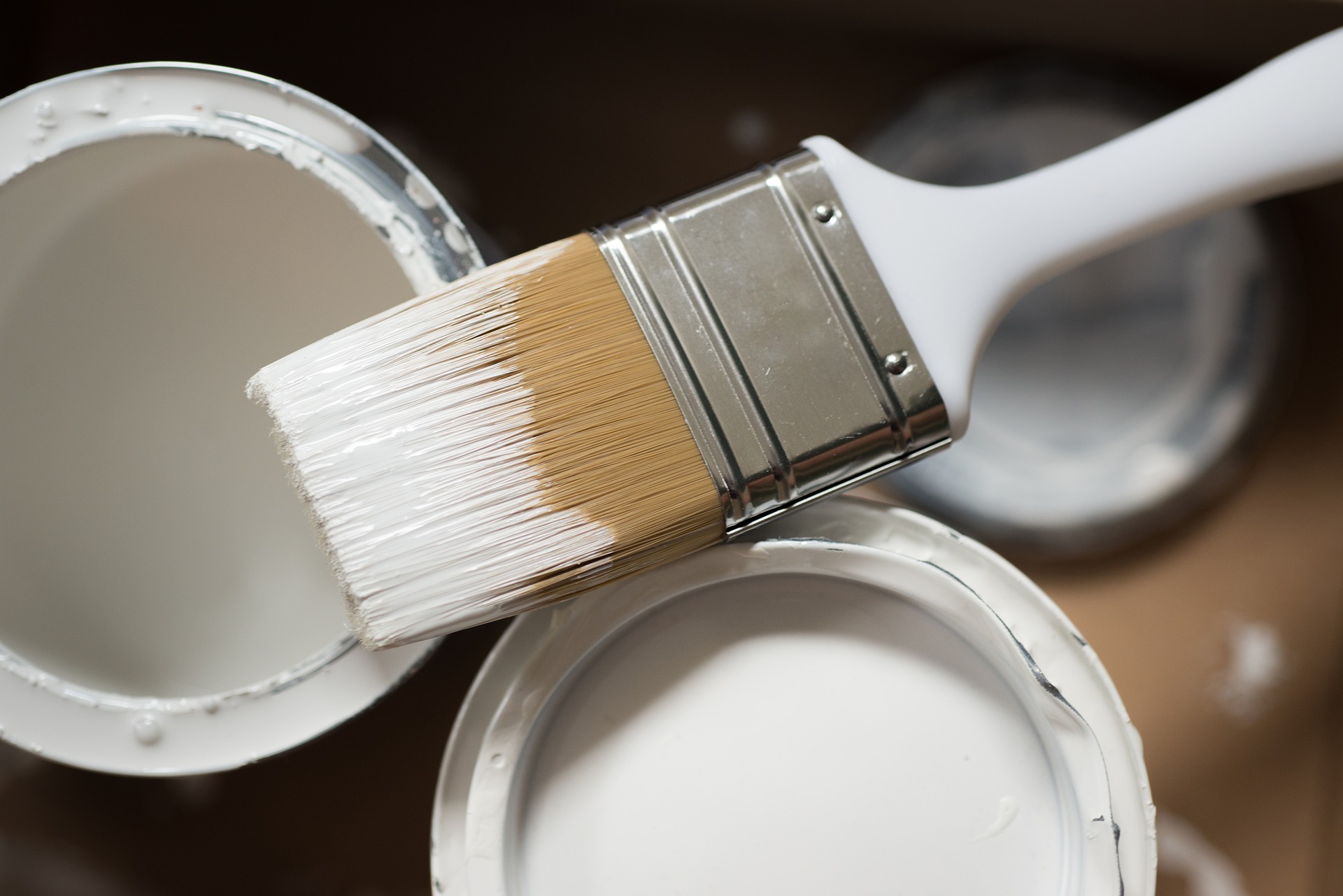 Clearwater FL Best painting contractor